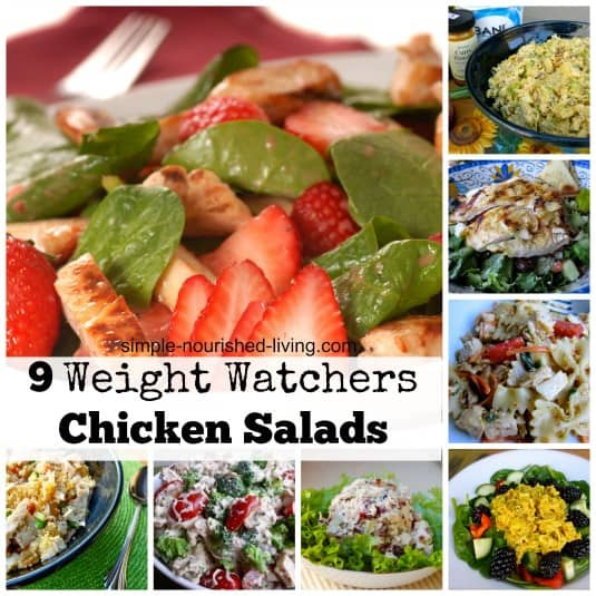 Weight Watcher Chicken Salad Recipe
 Weight Watchers Chicken Salad Recipes free points plus