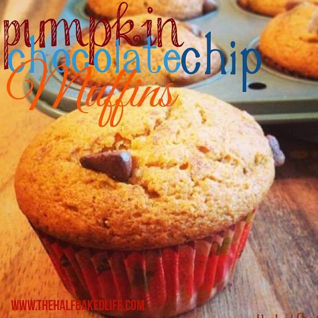 Weight Watchers Pumpkin Chocolate Chip Muffins
 Pin on Weight Watchers Recipes