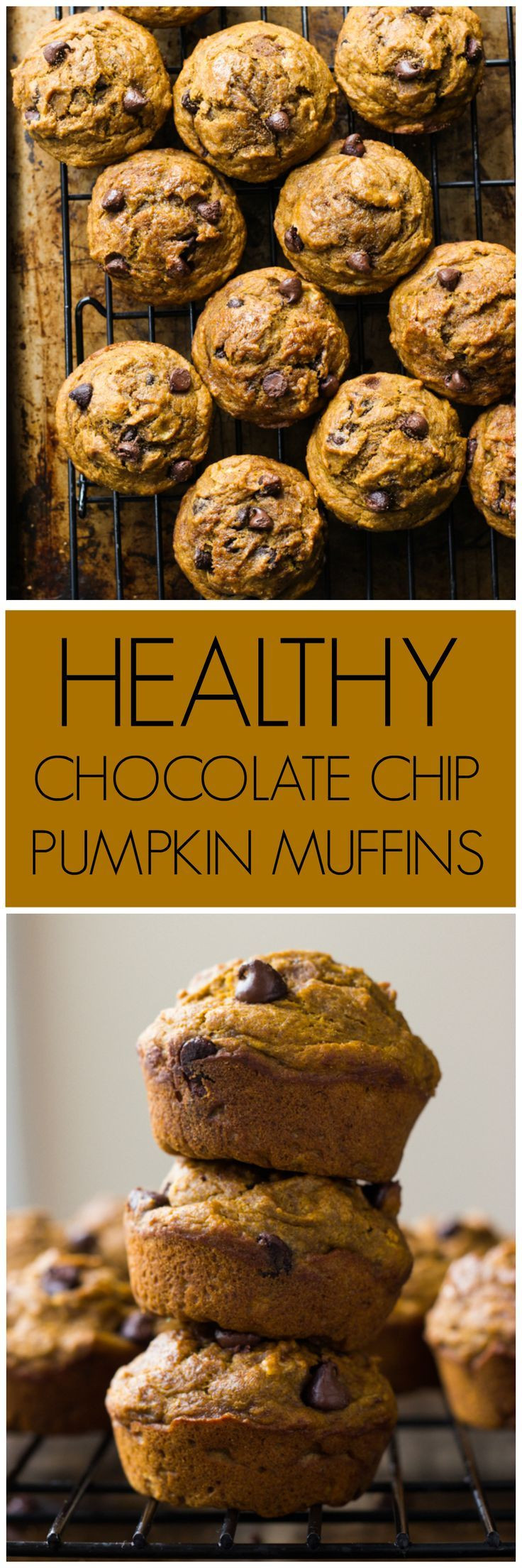 Weight Watchers Pumpkin Chocolate Chip Muffins
 Healthy Chocolate Chip Pumpkin Muffins Recipe