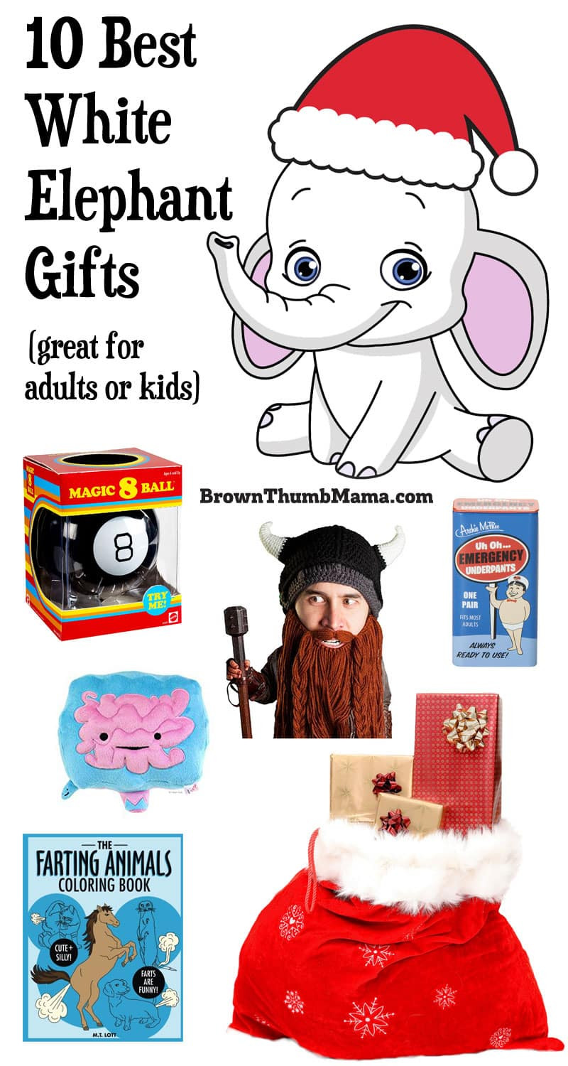 White Elephant Gifts For Kids
 Best White Elephant Gift Ideas