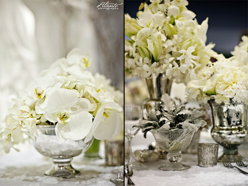 White Flowers For Weddings
 Guest Post White Flowers for Weddings