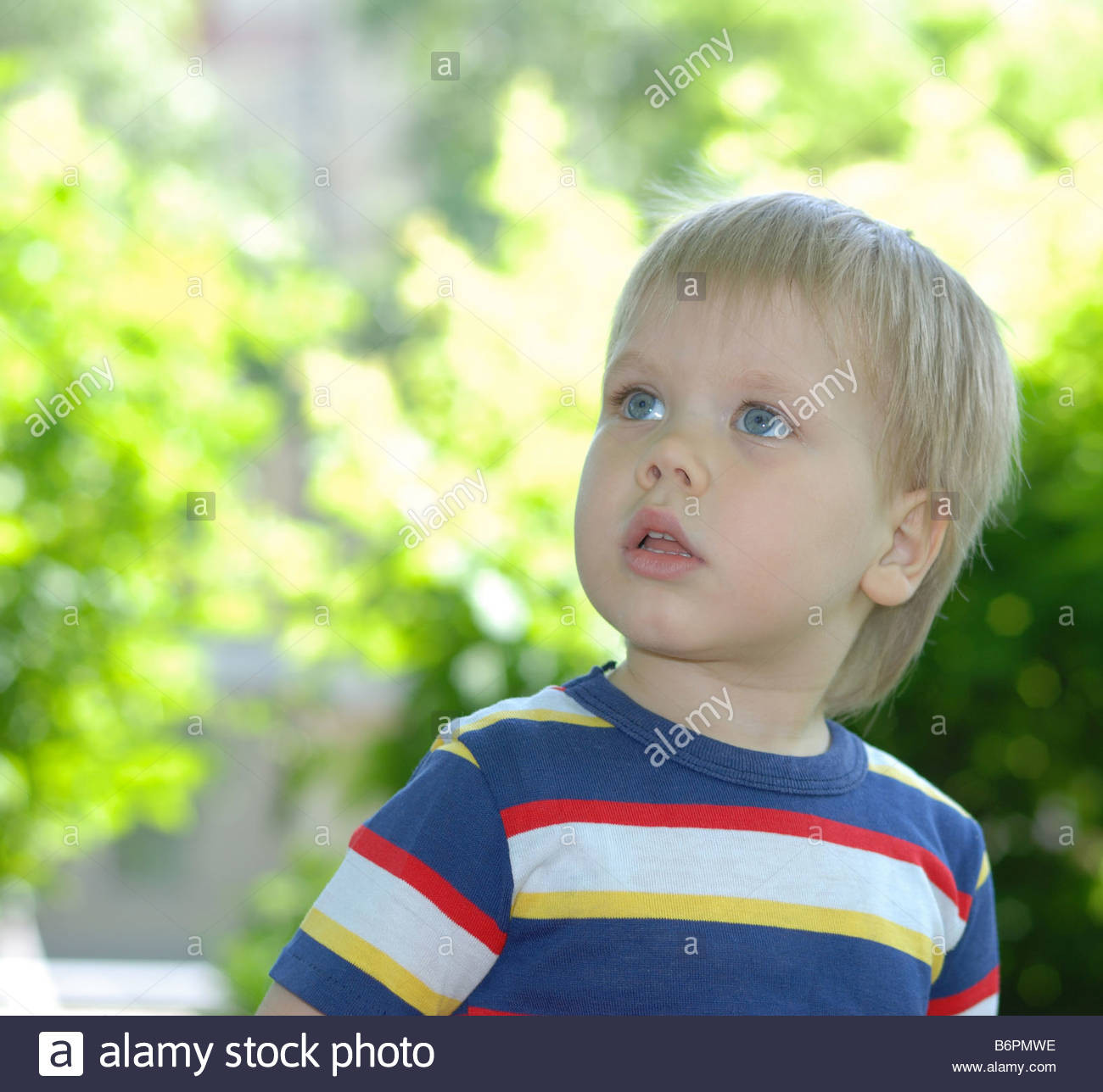 White Hair In Children
 Portrait The Boy The Child With Blue Eyes White Hair