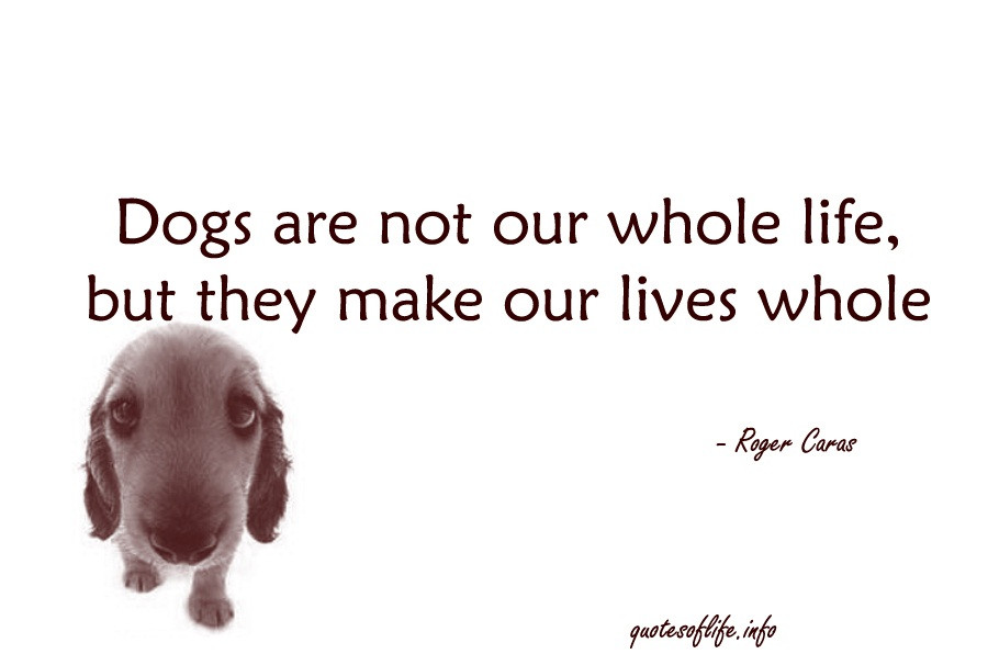 Whole Life Quote
 Animal Quotes 449 Quotes Page 53