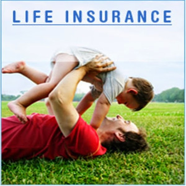 Whole Life Quote
 Whole Life Insurance Quotes