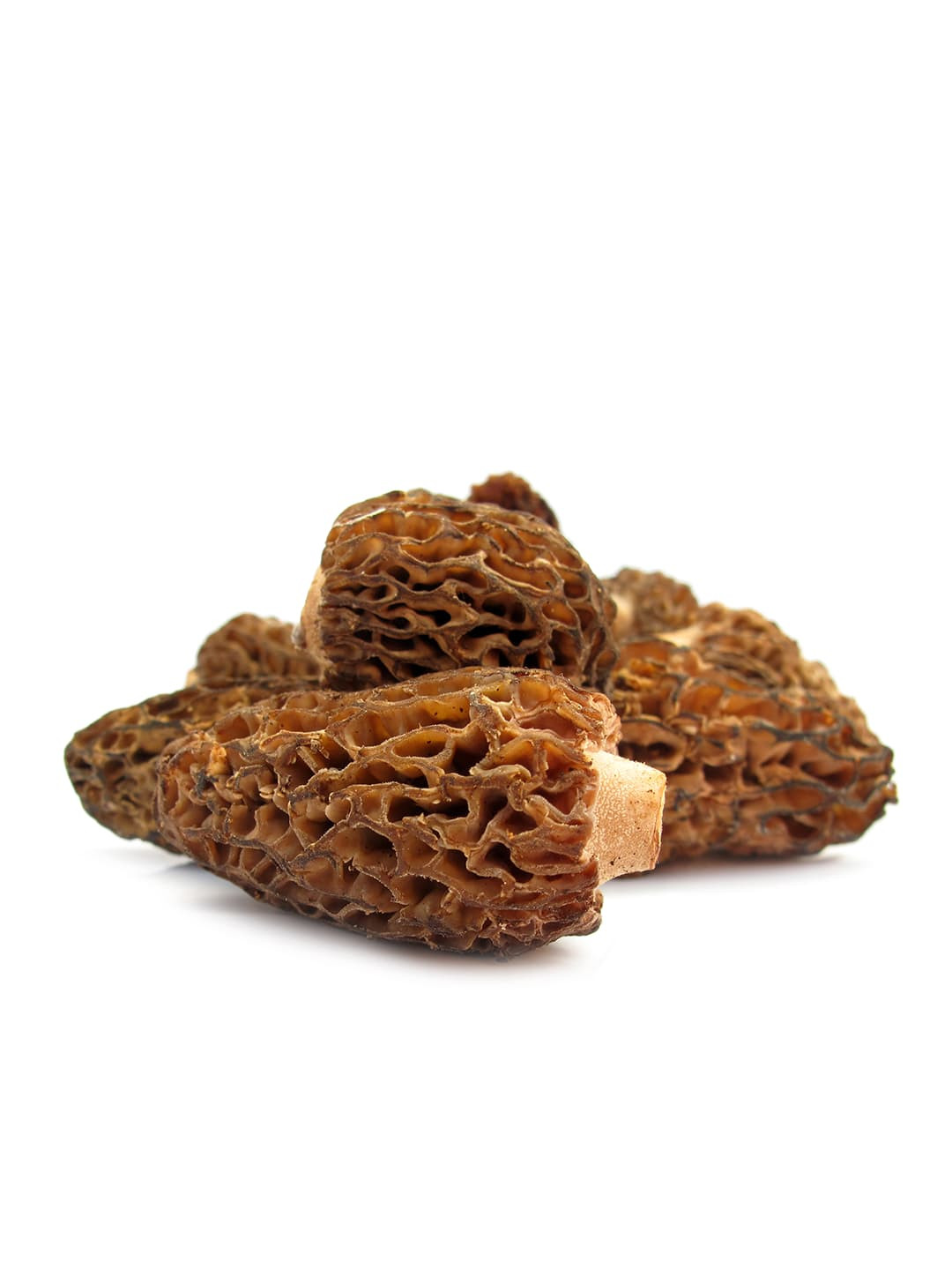 Wild Morel Mushrooms
 Wild Morel Mushrooms