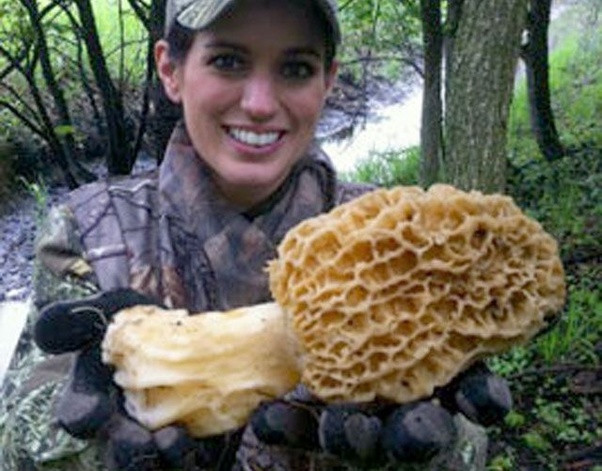 Wild Morel Mushrooms
 How big do wild morel mushrooms Quora