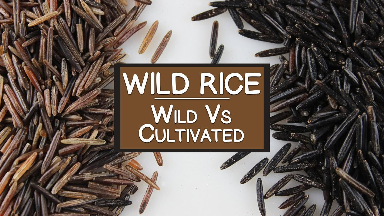 Wild Rice Benefits
 Nutritional Benefits of Wild Rice A "Wild" and Cultivated