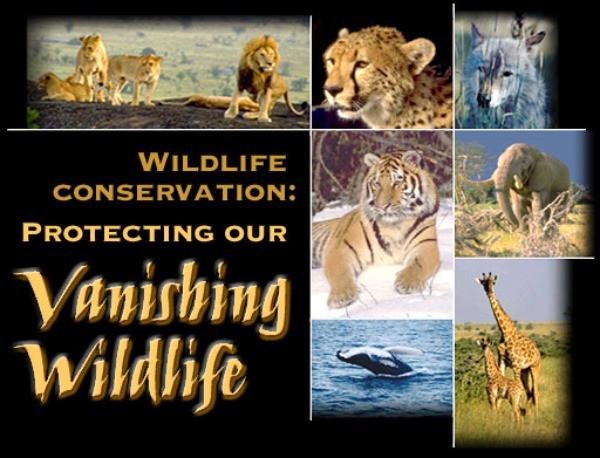Wildlife Conservation Quotes
 Quotes about Wildlife management 26 quotes