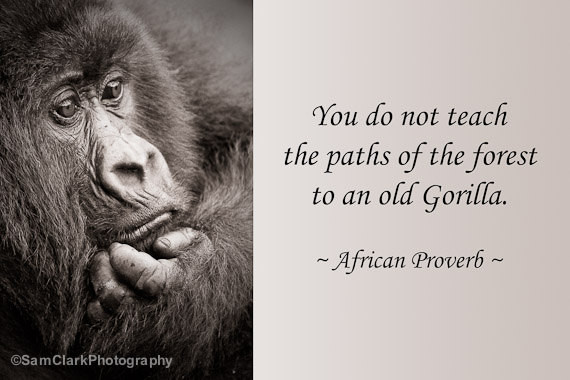 Wildlife Conservation Quotes
 Wildlife Conservation Quotes And Sayings QuotesGram