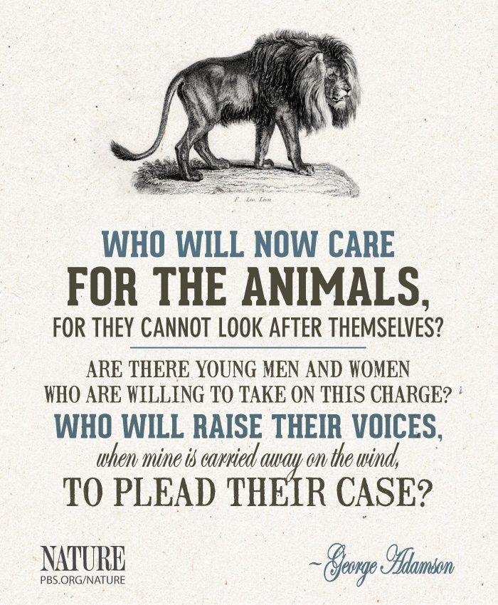 Wildlife Conservation Quotes
 Elsa s Legacy The Born Free Story
