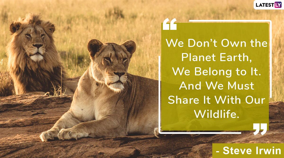 Wildlife Conservation Quotes
 World Wildlife Day 2020 Quotes Thoughts on Wildlife