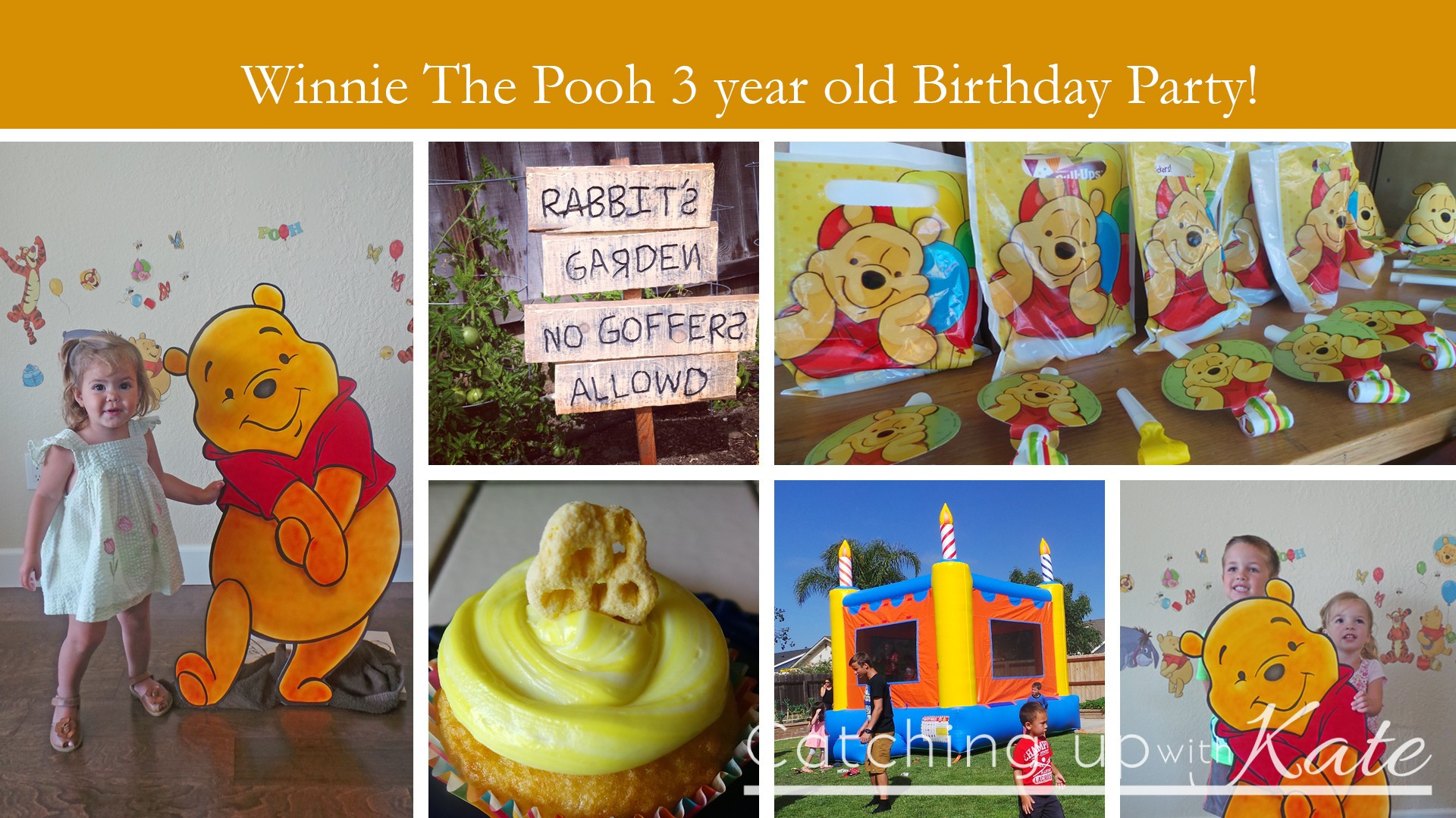 Winnie The Pooh Birthday Party Decorations
 Winnie the Pooh Birthday Party