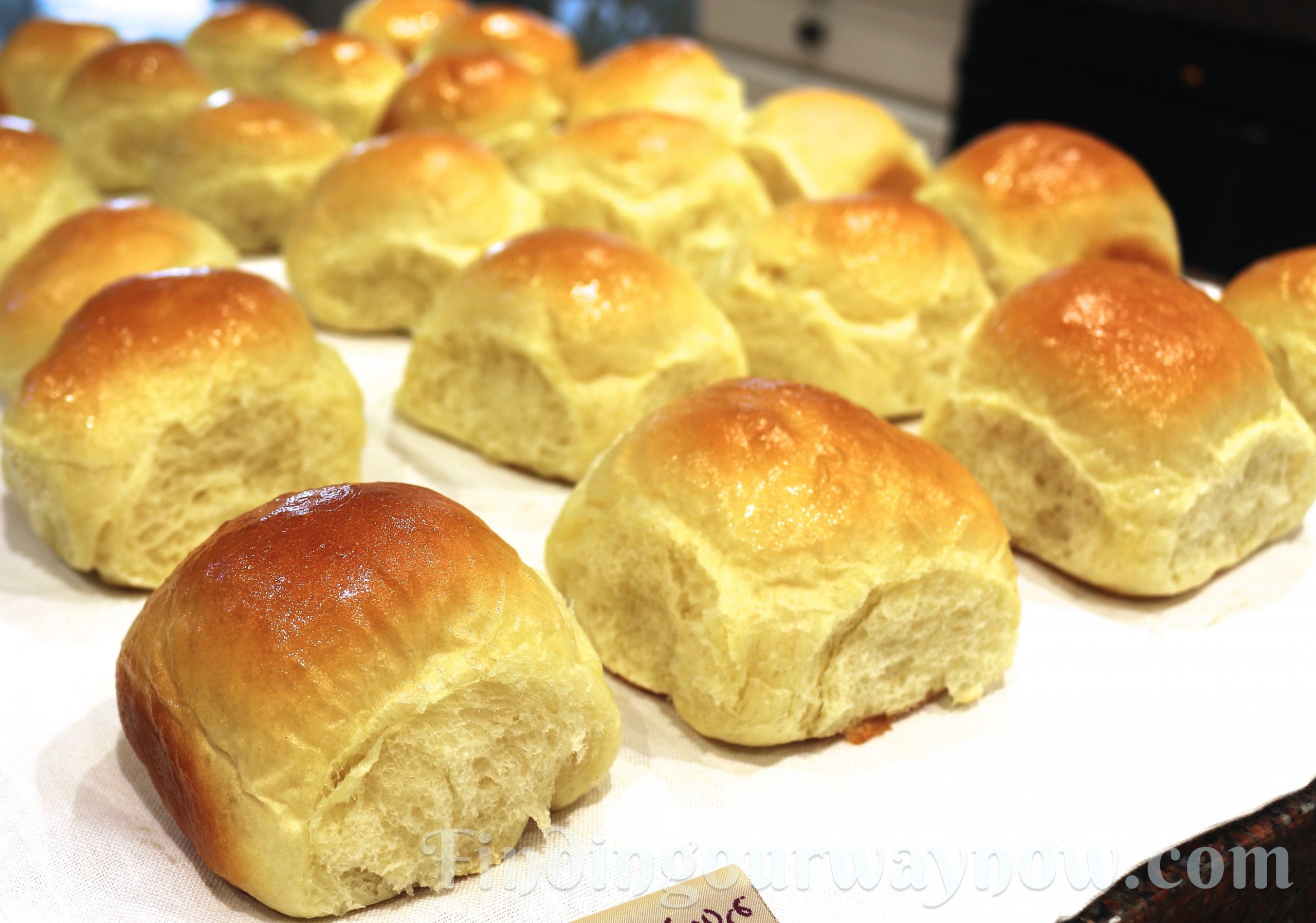 Yeast Bread Rolls
 Old Fashioned Yeast Rolls Recipe Finding Our Way Now