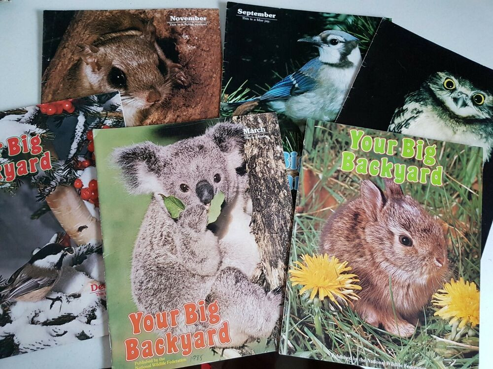 Your Big Backyard Magazine
 Vtg Lot Children s Magazine Your Big Back Yard National