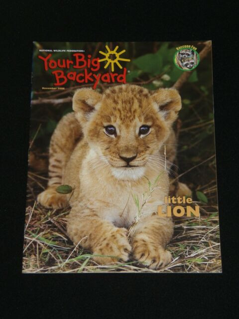 Your Big Backyard Magazine
 Your Big Backyard Magazine November 2006 Lions