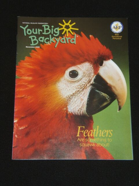 Your Big Backyard Magazine
 Your Big Backyard Magazine November 2005 Feathers