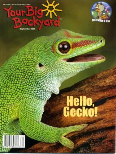 Your Big Backyard Magazine
 BizX Your Big Backyard Magazine 40 Issues