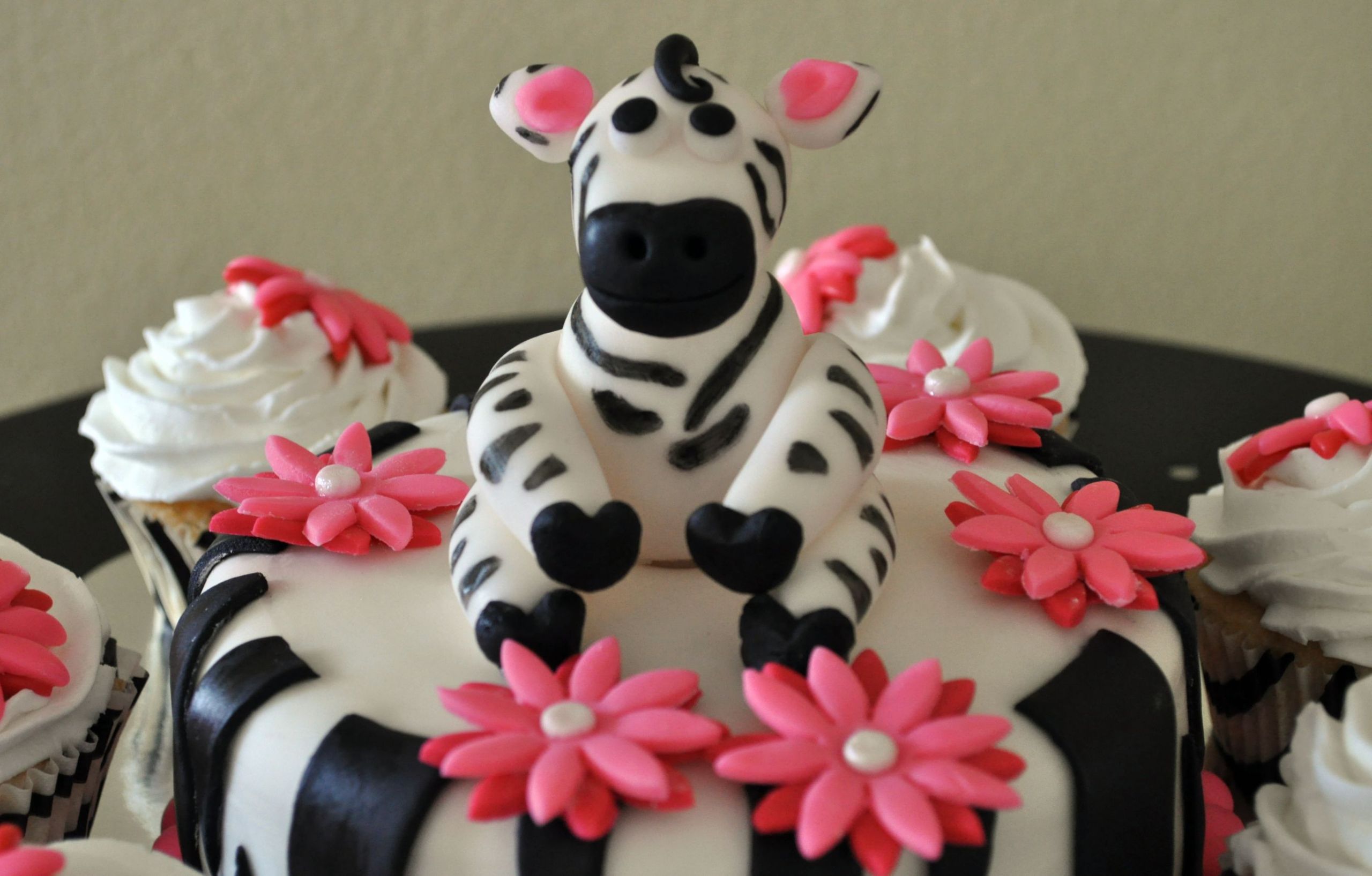 Zebra Print Birthday Cake
 Zebra Cakes – Decoration Ideas