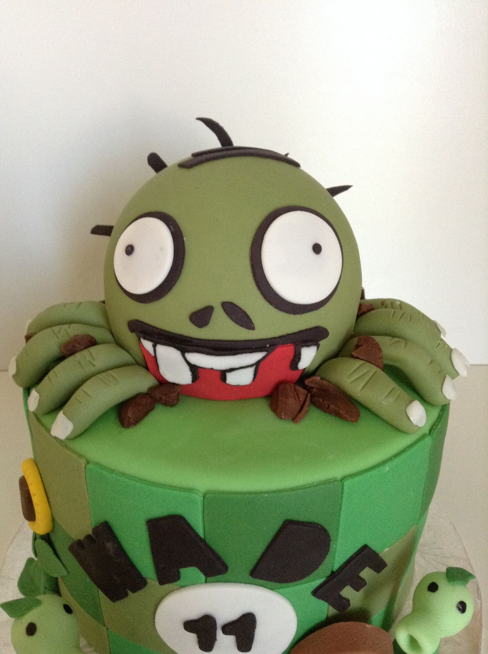 Zombie Birthday Cakes
 Plants Vs Zombies Birthday Cake CakeCentral